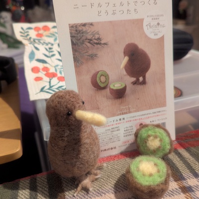 Felted Kiwi Bird with Kiwi Fruit